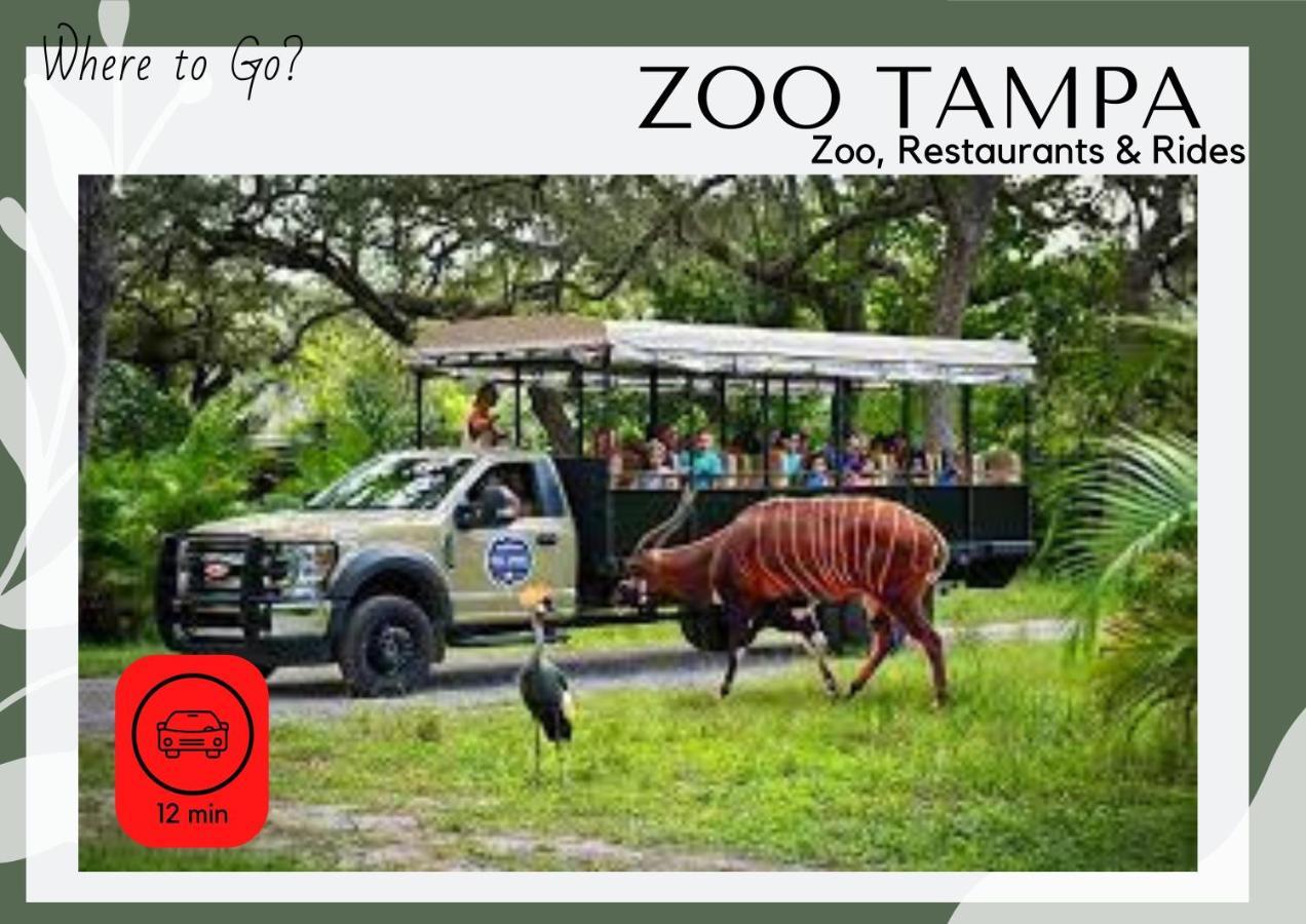 Cozy Home In Tampa Near Ybor & Busch Gardens Zewnętrze zdjęcie